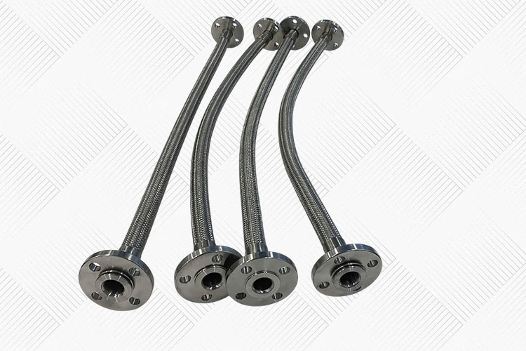  SS Flexible Hose With Assemblies