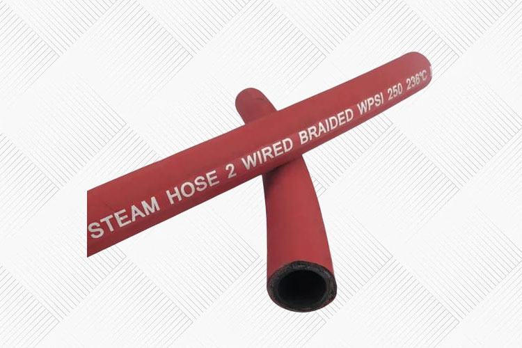 Steam Hose